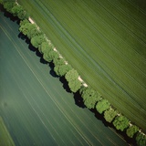 Aerial Photograph of an Avenue Photographic Print by Klaus Leidorf