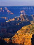 Bright Angel Trail Photographic Print by Danny Lehman