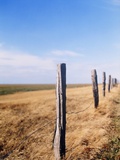 Wooden fence on meadow, St Peter-Ording, Germany Photographic Print by Darius Ramazani