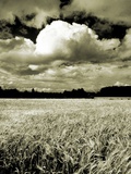 Field Under Cloudy Sky Photographie par W. Krecichwost