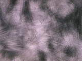 Brushed Aluminum Photographic Print by Cody Wood