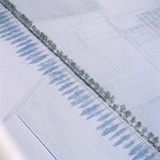 Row of trees casting a shadow along a country road Photographic Print by Klaus Leidorf