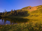 Tipsoo Lake and Naches Peak Photographic Print by Craig Tuttle