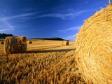 Field with bales of hay Photographie par Frank Lukasseck