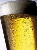 Pint of Cold Lager Beer with Foam Head Photographic Print by Steve Lupton