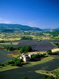 Lavender Fields and Green Valley Impressão fotográfica por Steven Vidler Lavender Fields and Green Valley Impressão fotográfica por Steven Vidler