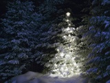 Illuminated Christmas Tree in Snow Fotografie-Druck von Larry Williams