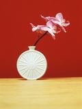 Single orchid in a vase. Photographic Print by Estelle Klawitter