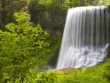 Middle North Falls and Foliage Photographic Print by Craig Tuttle
