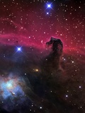 Horsehead Nebula Photographie