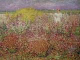 Mrs. Russell Amongst the Flowers at Belle Isle Photographic Print by John Peter Russell