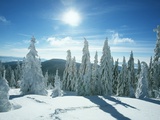 Beautiful winter scene Photographic Print
