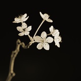 Twig of Tiny Blossoms from Hawthorn Tree Photographic Print by Tom Marks