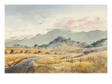 Jacksonville Road Giclee Print by LaVere Hutchings