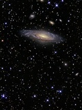 Pegasus Constellation Photographic Print