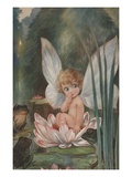 Illustration of Fairy on Water Lily by Fred Spurgin Reproduction procédé giclée par Alexandra Day