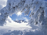 Snowy Landscape in Yellowstone Photographic Print by Jeff Vanuga