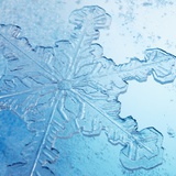 Close-Up of Snowflake Photographic Print by David Arky