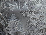 Ice crystals Photographic Print by Steve Klics