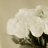 Bouquet of White Roses Photographic Print by Ann Cutting