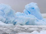 Blue Iceberg Floating Amid Ice Chunks Lámina fotográfica por John and Yva Eastcott And Momatiuk Blue Iceberg Floating Amid Ice Chunks Lámina fotográfica por John and Yva Eastcott And Momatiuk