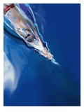 man swimming in sea, elevated view Giclee Print