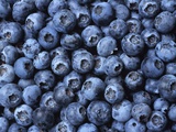 Blueberries Photographic Print