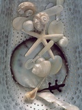 Nacre Cutlery with Shells and Starfish Photographic Print by Cora Buttenbender