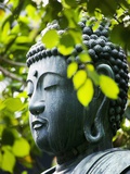 Buddha in Senso-ji Temple Garden Photographic Print by Bruno Ehrs