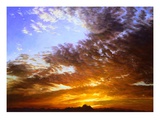 Summer Dawn Giclee Print by Pat Fridell