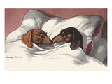 Mariage d'Amour with Two Dogs in Bed Giclee Print by Alexandra Day