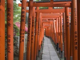Red Arches Along Path to Nezu Shrine Fotografie-Druck von José Fuste Raga
