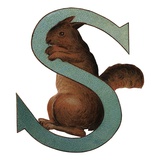 S Is For Squirrel Giclee Print