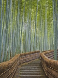 Bamboo Lined Path at Adashino Nembutsu-ji Temple Photographic Print by Rudy Sulgan
