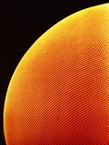 Compound Eye of a Flower Fly Photographic Print by Micro Discovery 