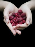 Handful of Raspberries Photographie par Elisa Lazo De Valdez