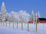 Farm in Winter Photographic Print by Mike Grandmaison
