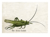 The Green Cricket Giclee Print