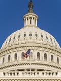 Capitol Building and Flag Lámina fotográfica por Rudy Sulgan