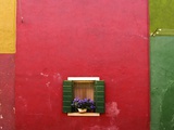 Wall with Pot of Flowers in Window Photographic Print by Bryan Peterson