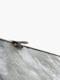 Skateboard balanced on the edge of the bowl Photographic Print by Tomas Rodriguez