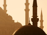 Two Mosques Photographic Print by Bruno Ehrs