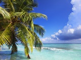 Beach at Soneva Fushi Resort in the Baa Atoll Photographie par Frank Krahmer