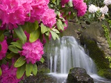 Waterfall Photographic Print by Craig Tuttle