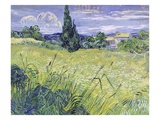 Landscape with Green Corn Giclée-Druck von Vincent van Gogh