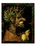 Winter Giclee Print by Giuseppe Arcimboldo