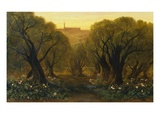 The Garden of Gethsemane Giclée-tryk af Edward Lear