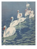 Illustration of Flock of Swans by Coles Phillips Giclee Print