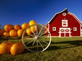 Pumpkins on Wagon near Barn Photographic Print by Dave Reede