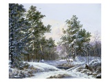 A Fine Winter's Day Giclee Print by Pieter Gerardus van Os